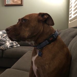 Meet your Posher, Gabrielle